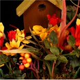 thumbnail image 1 of Ruiboury Artificial Flowers with Fence Bright Color Simulation Bonsai Home Decoration, 1 of 6