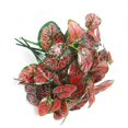 thumbnail image 1 of 1 Artificial plants Artificial flowers Artificial grass greening plants, 1 of 6