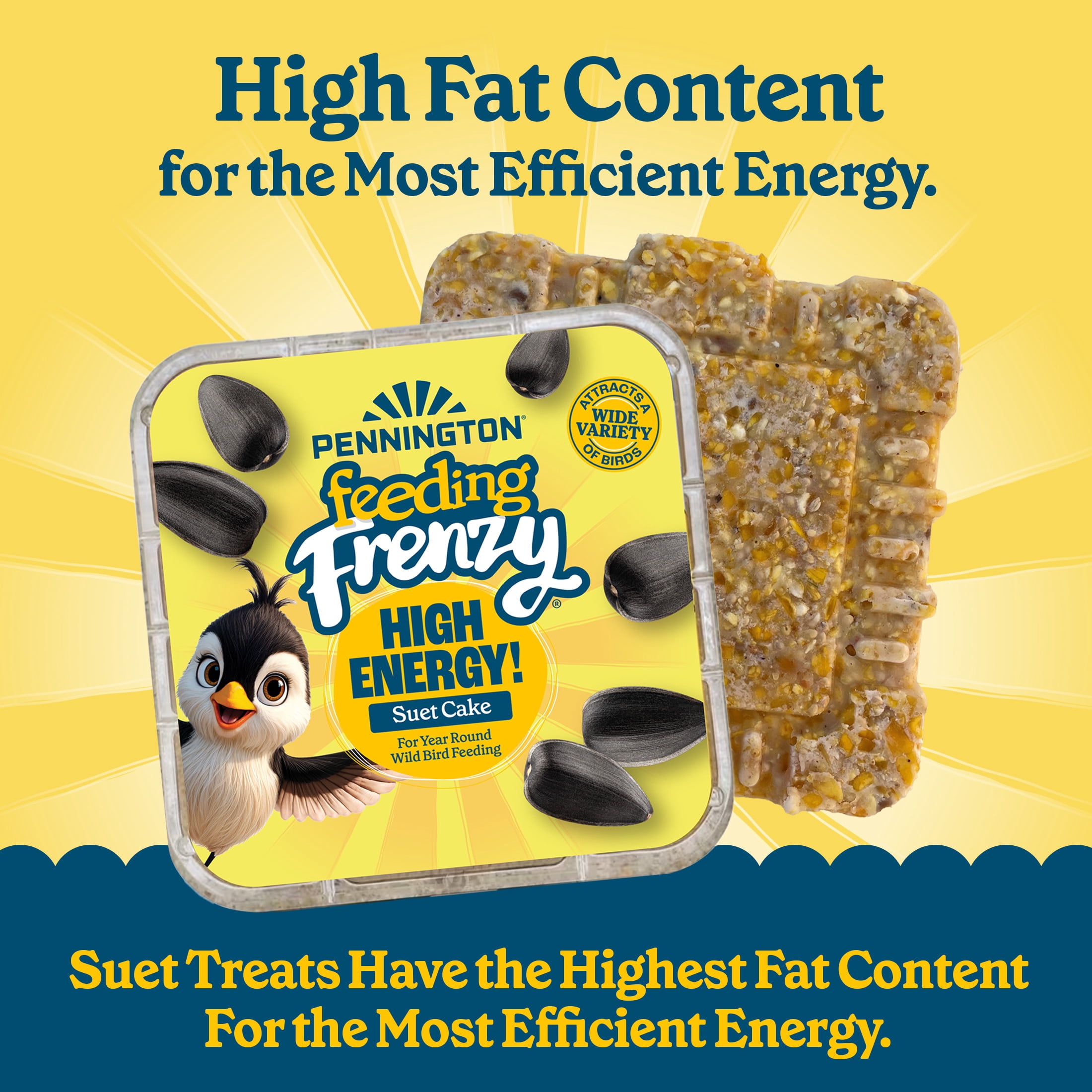 Pennington Feeding Frenzy High Energy Suet Value Pack, for Year Round Wild Bird Feeding, 8 Cake Pack, Fresh