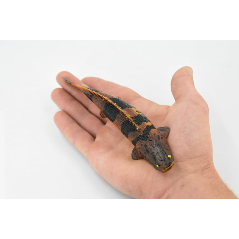 Fish, Bowfin Fish, Barred Bichir, Museum Quality, Hand Painted, Rubber Fish, Realistic Toy Figure, Model, Replica, Kids, Educational, Gift, 7 Fish, Bowfin Fish, Barred Bichir, Museum Quality, Hand Painted, Rubber Fish, Realistic Toy Figure, Model, Replica, Kids, Educational, Gift, 7
