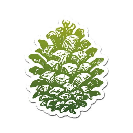 Pinecone 12