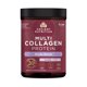 thumbnail image 1 of Colágeno en polvo Ancient Nutrition Brain Boost Vanilla 45 dosis, 1 of 6