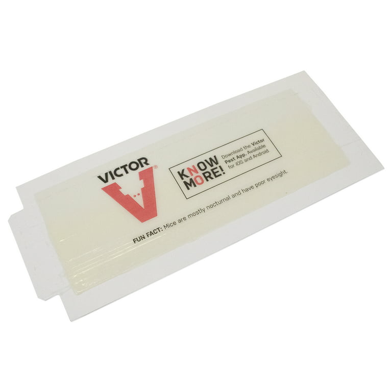 Victor Tin Cat Mouse & Insect Glue Trap 72/cs