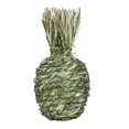 thumbnail image 4 of GROWTH TANK Small Animals Chewing Ball Pet Chew Grinding Chewable Teething Activity Toys for Pineapple, 4 of 9