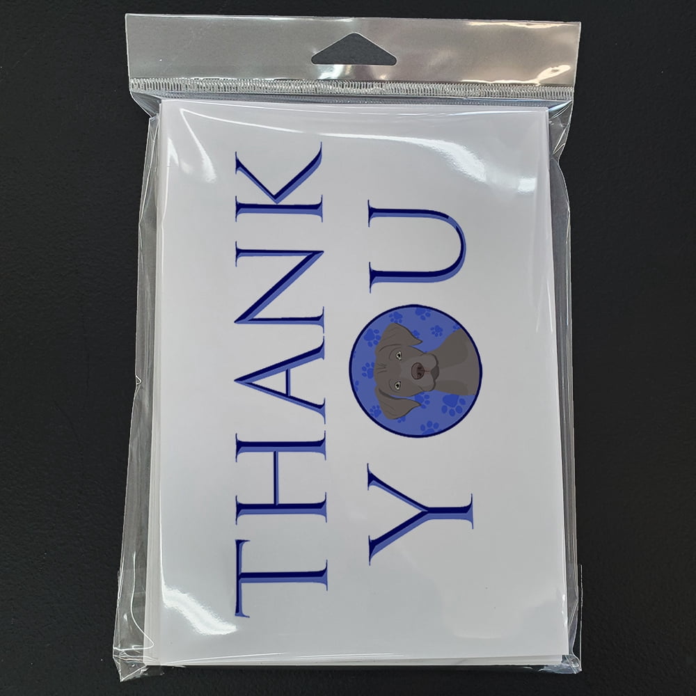 Labrador Retriever Gray Puppy Thank You Greeting Cards and Envelopes Pack of 8 7 in x 5 in