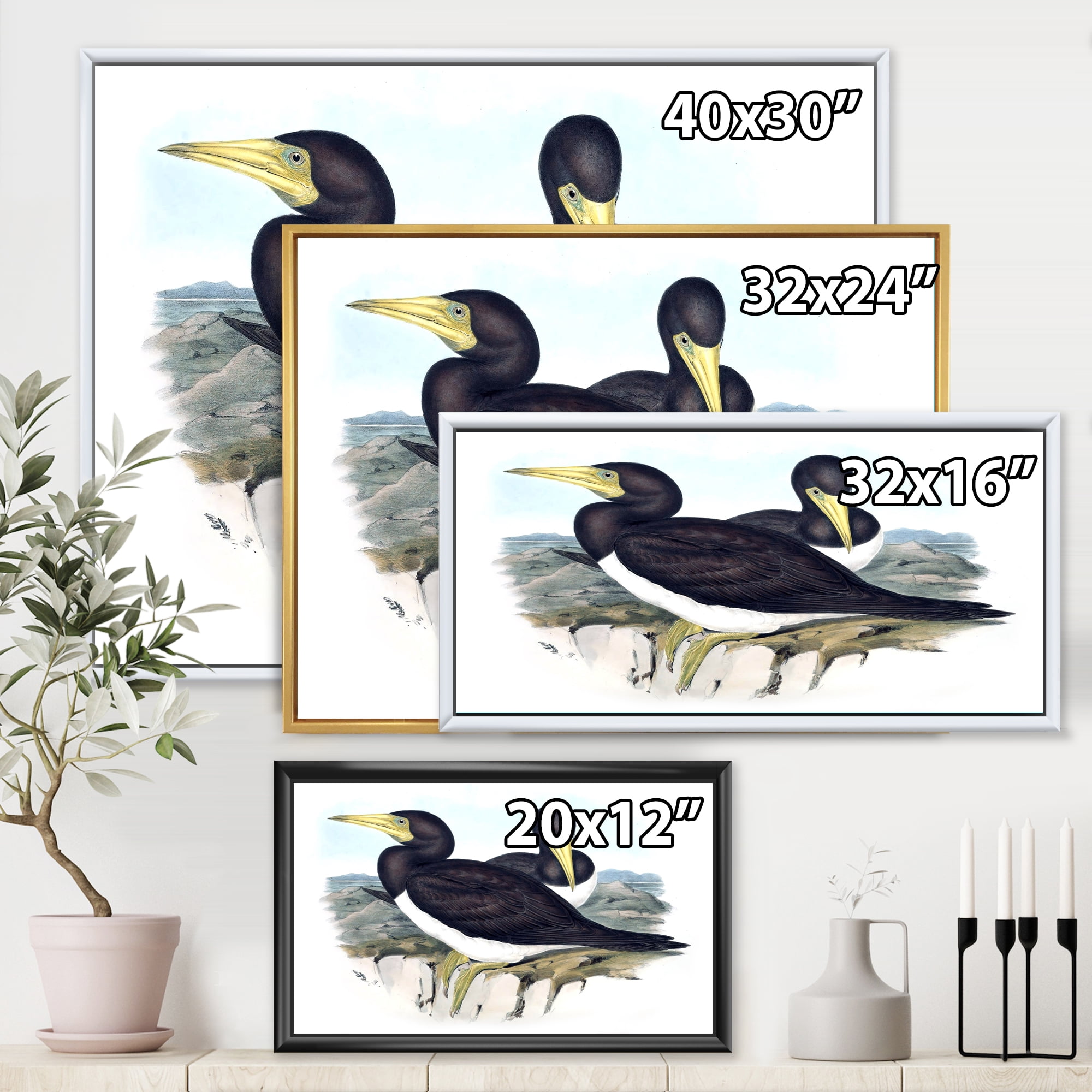 Designart 'Ancient Australian Birds XII' Traditional Framed Canvas Wall Art Print