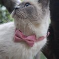 thumbnail image 4 of Flmtop Pet Collar Beautiful Adjustable Bowknot Shape Decorative Pet Accessories for Cat Dog Red, 4 of 9