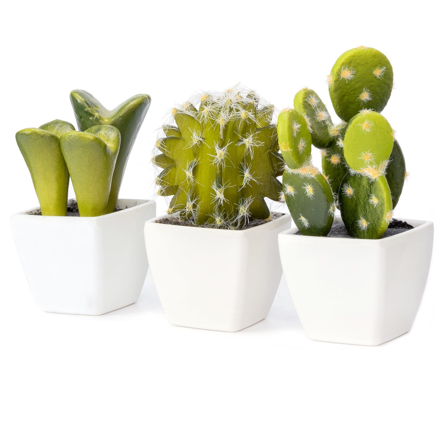 Set 6 Mini Artificial Small Succulent Cactus Cacti Plants Glass Pot Stones 