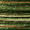 MultiColor, variant on Sufix 832 Advanced Superline 10lb Lo-Vis Green 150 yds