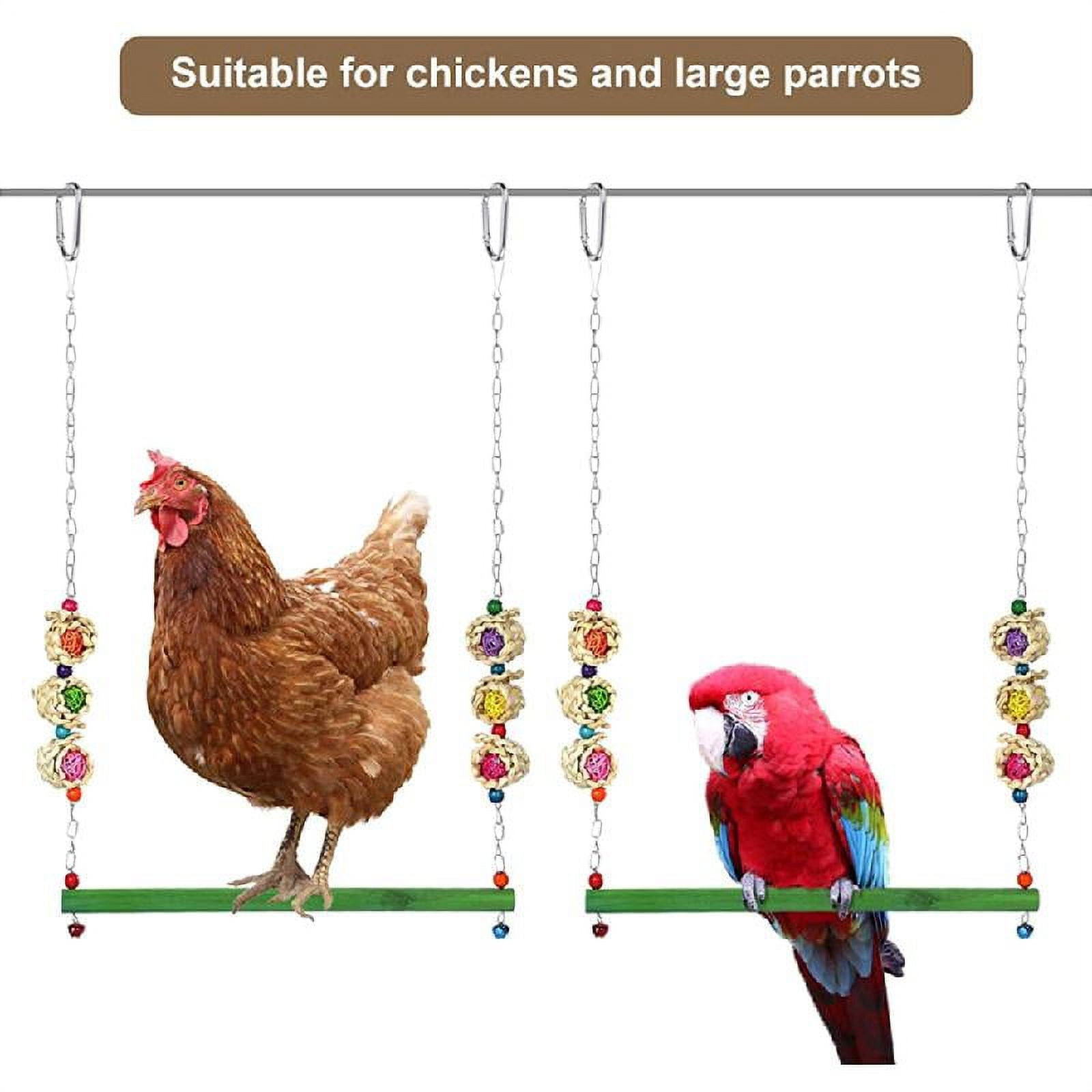 4Pcs Chicken Toys for Hens Large Birds Swing Toys Colorful Ladder and Perch Metal Vegetable Feeders Hanging for Coop