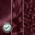 thumbnail image 3 of Garnier Nutrisse Haircolor - 42 Black Cherry (Deep Burgundy) 1 Each - (Pack of 6), 3 of 6