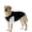 Black, variant on Breathable Mesh Fake Two-Piece Dog T-Shirt Lightweight Short Sleeve Pet Apparel Color Block Crew Neck Dog Clothes for Medium Large Dogs Outdoor Walking Daily Home Wear