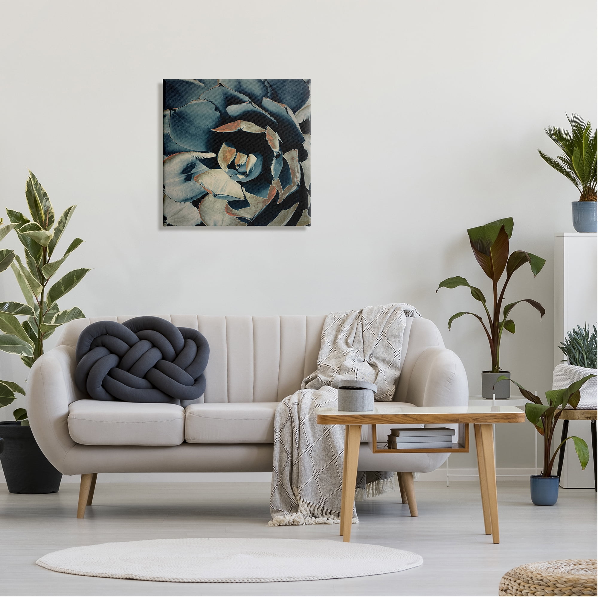 Stupell Industries Modern Succulent Leaves Botanical & Floral Painting Gallery Wrapped Canvas Print Wall Art, 24 x 24
