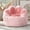 Pink, variant on Ebenchico Cat's Paw Bean Bag Chair for Adults, Large Memory Foam Beanbag Chairs with Armrests & Back Support, Cute Faux Fur Floor Lounger, Black
