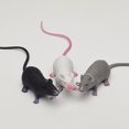 thumbnail image 3 of HEVIRGO Simulation Long Tail Mouse Rat Trick Joke Toy Photo Props Halloween Party Decor, 3 of 10