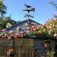 thumbnail image 4 of 2x gallo perro en apariencia indicador de dirección patio decoración de jardín shamjiam Veletas, 4 of 8