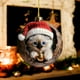 thumbnail image 5 of Adornos de Regalo para Árbol de Navidad, Acrílicos, Planos, Conmemorativos, para Mascotas, Regalo de Navidad, 5 of 5