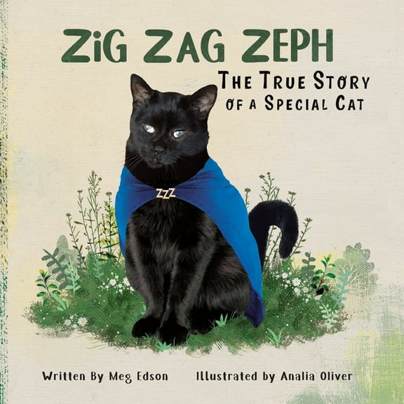 Zig Zag Zeph, (Paperback)