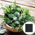 thumbnail image 2 of 24 Pack Pump Sponge Filter Compatible with AG Garden Harvest, Bounty, Farm, Extra, Ultra All Models, Replacement Pump Filter Accessories, 2 of 6