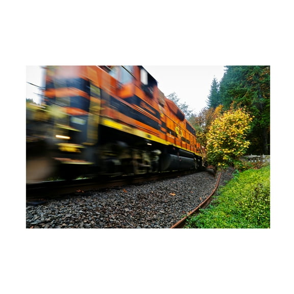Susan Vizvary Photography 'Missed the Train' Canvas Art