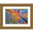 thumbnail image 1 of Golub, Robert 18x13 Gold Ornate Wood Framed with Double Matting Museum Art Print Titled - Tree Pops, 1 of 4