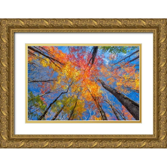 Golub, Robert 18x13 Gold Ornate Wood Framed with Double Matting Museum Art Print Titled - Tree Pops