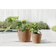 thumbnail image 3 of Ecopots Amsterdam Durable Modern Round Indoor/Outdoor Recycled Based Composite Flower Pot Planter, Terracotta Color, 12", 3 of 4
