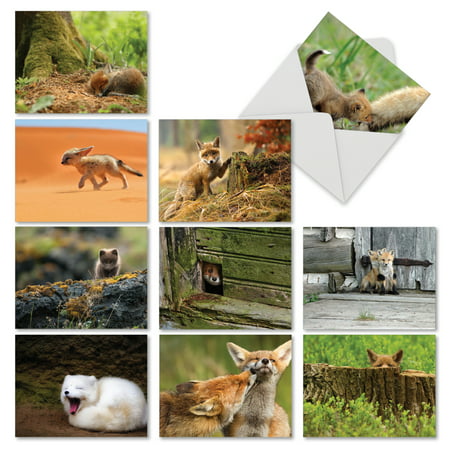 M6480OCB LITTLE FOXES' 10 Assorted All Occasions Notecards Featuring Frisky Baby Foxes Playing in Their Natural Surroundings with Envelopes by The Best Card