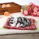 thumbnail image 2 of Juguete con sonido de gatito 1 Uds Mini simulación súper con sonido de gatitos durmiendo gatos muñecos de peluche regalo de Navidad ANGGREK Otros, 2 of 3