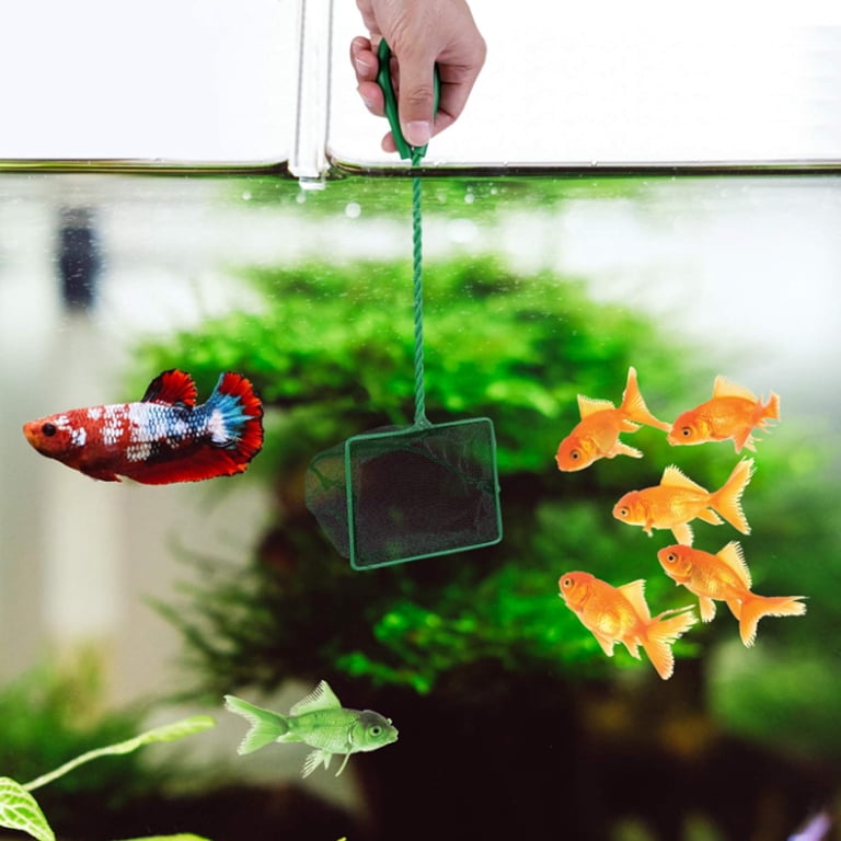 Aquarium Fish Net Mesh Size Seachem Nets Long Handled Net Edition