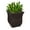 Espresso, variant on Pemberly Row Contemporary 16x16" Square Plastic Planter in Blue