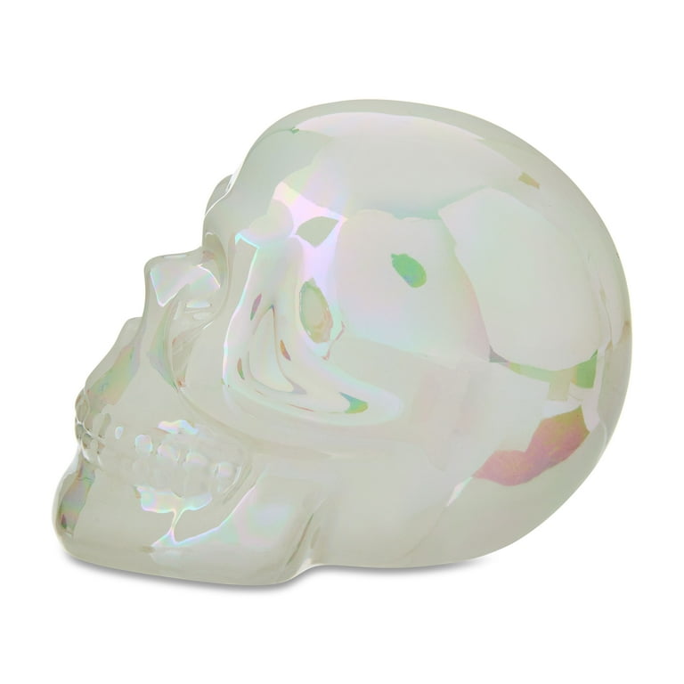 THE SKULL DISK NATURE TONES × DAMNGOOD Ceramic Skull Tabletop Decor, Iridescent White, 4.76