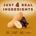 thumbnail image 4 of Larabar Peanut Butter Chocolate Chip Mini Bars, Gluten Free Vegan, 20 ct, 4 of 5