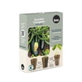 thumbnail image 1 of TASC Seed Plugs- Zucchini-Green (6/PKG), 1 of 1