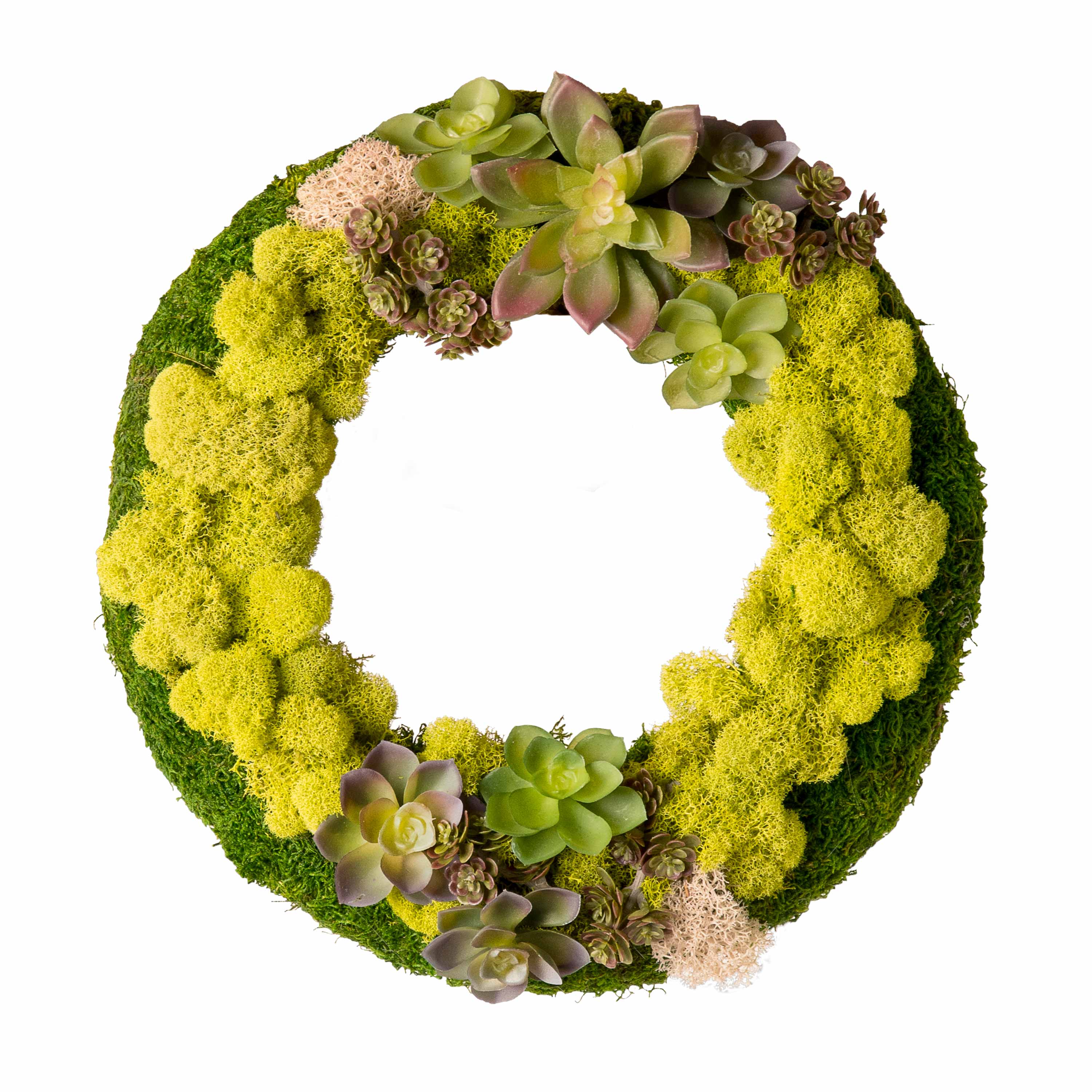 ProFlora Preserved Reindeer Moss, Chartreuse Green