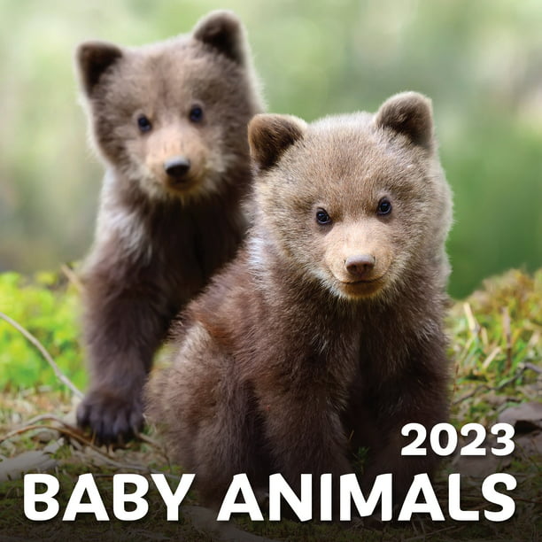 EcoEarth Monthly Wall Calendar for Year 2024, 12Month Baby Animals
