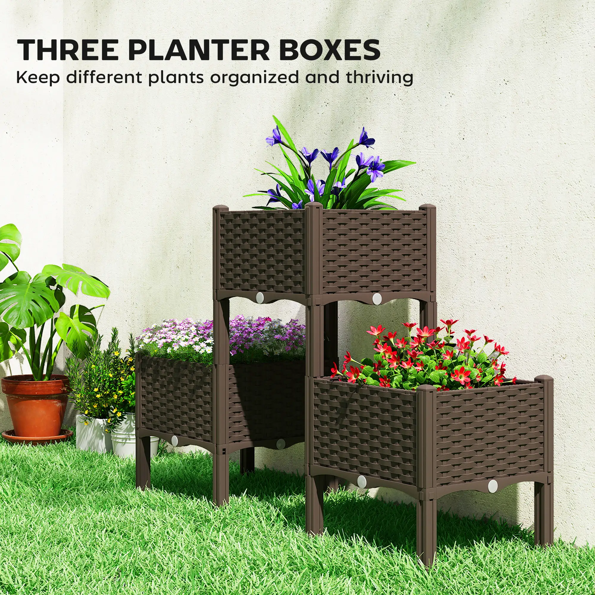 Plant Flower Stand