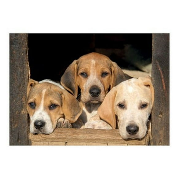 Kevin Milner Puppies Countryside Greetings Card