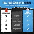 thumbnail image 3 of Animal Creatine Performance Chews - Fruit Punch - 120 Chewable Tablets, 3 of 6