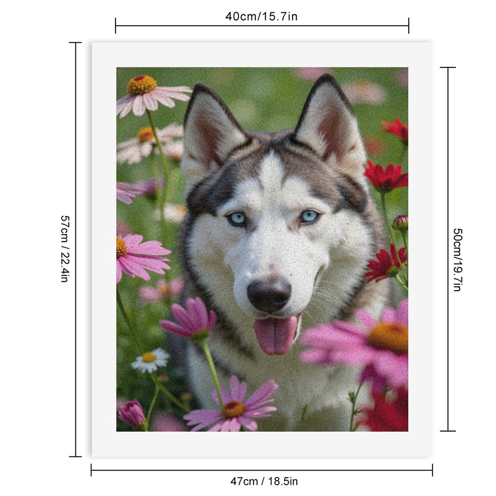 Paint By Numbers Kit for Adults Beginner - DIY Siberian Dog Among Colorful Flowers Canvas Painting Kits for Adults, Frameless Paint By Number for Adults for Home Wall Decor 16x20 Inch