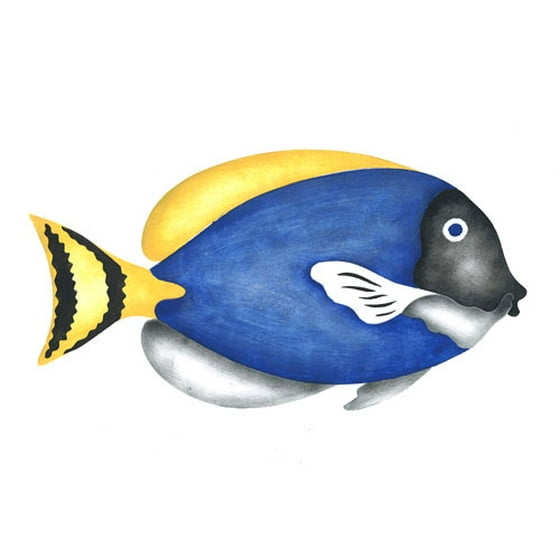 Surgeon Fish Wall Stencil Sku 1114 By Designer Stencils