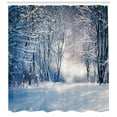 thumbnail image 3 of Ambesonne Winter Shower Curtain, Alley in Snowy Forest, 69"Wx84"L, Blue Black White, 3 of 3