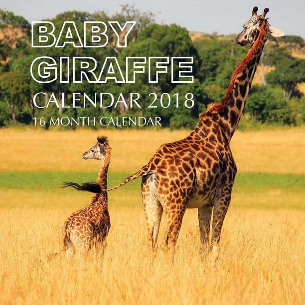 Baby Giraffe Calendar 2018: 16 Month Calendar (Paperback) - Walmart.com