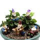 thumbnail image 4 of Conjunto de 5 estatuas de resina para jardín en miniatura, adorno para maceta de jardín de hadas en interiores y exteriores, 4 of 8