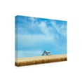 thumbnail image 2 of James McLoughlin 'Barn Scene IX' Canvas Art, 2 of 3
