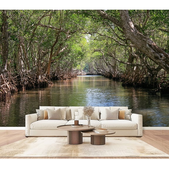 Wallpaper Mangrove swamps around Everglades City South Florida Peel and Stick Wall Murals 100"H x 144"W Removable PVC Wall Paper Self-Adhesive Wall Paintings Art Decor for Bedroom Living Room