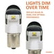 thumbnail image 2 of Bombilla LED SYLVANIA 7506 ZEVO blanca de 6000 K para DRL y respaldo, 2 of 5