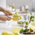 DEKAXID Plastic Lemon Lime Squeezer Manual Citrus Press Juicer with