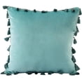 thumbnail image 1 of Granjero Gordo Funda de almohada decorativa de terciopelo suave con borlas, verde agua, 18'' x 18'', 1 of 5