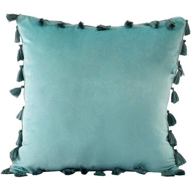 Granjero Gordo Funda de almohada decorativa de terciopelo suave con borlas, verde agua, 18'' x 18''